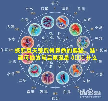 探究袁天罡称骨算命的奥秘，准到可怕的背后原因是 💐 什么